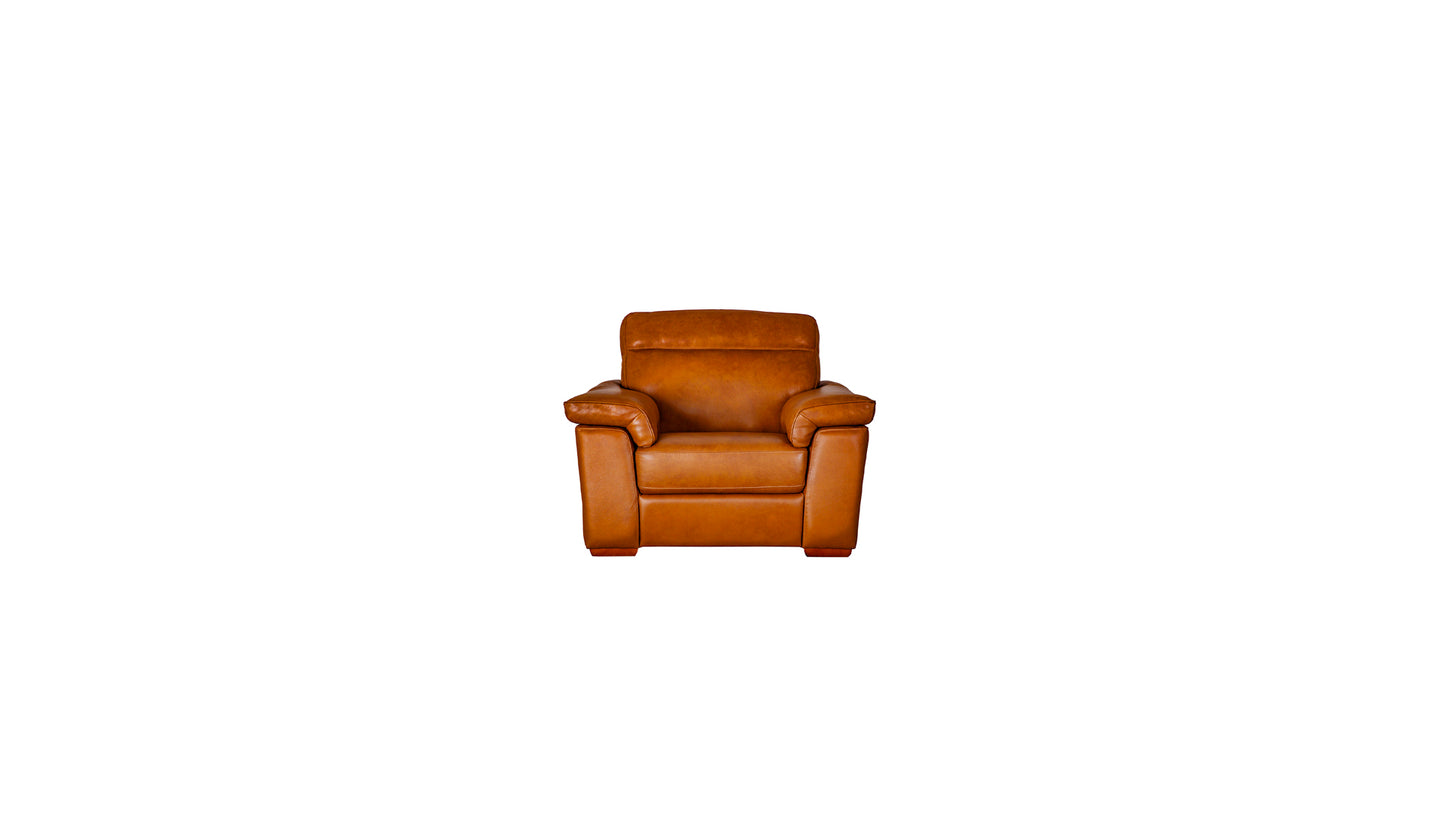 Brivido Stationary Arm Chair 1/2