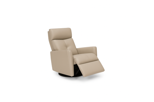 Prodigy Dual Motion Swivel Glider