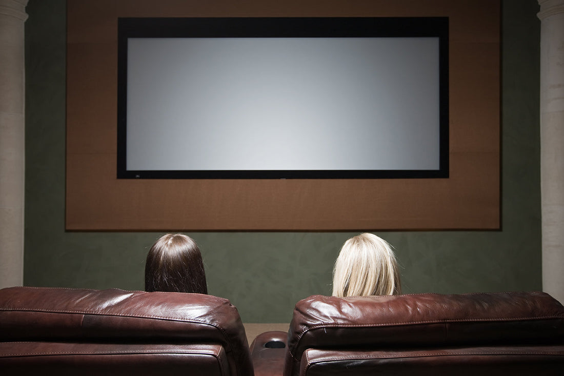Home theater with leather seats