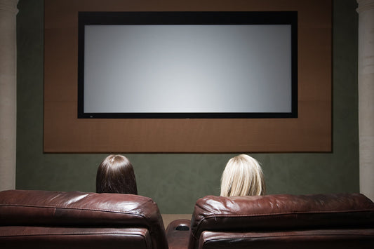Home theater with leather seats