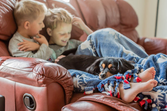 4 Reasons to Consider a Contemporary Reclining Leather Sofa