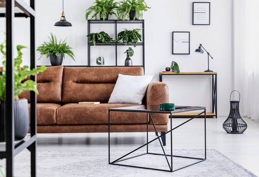 How to Care for Your Sarasota Leather Sofas and Furniture Correctly