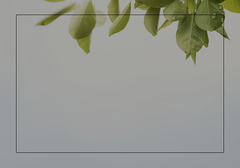 Florida Leather Gallery