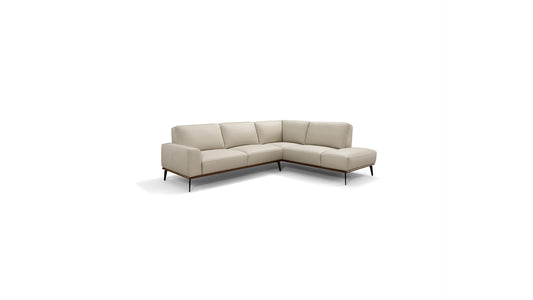 Salina 2 Piece Sectional